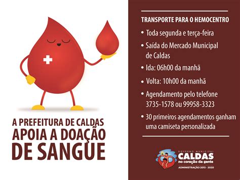 Doacao De Sangue