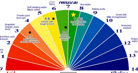 How To Test Ph Levels In Blood A Comprehensive Guide • Suggested And