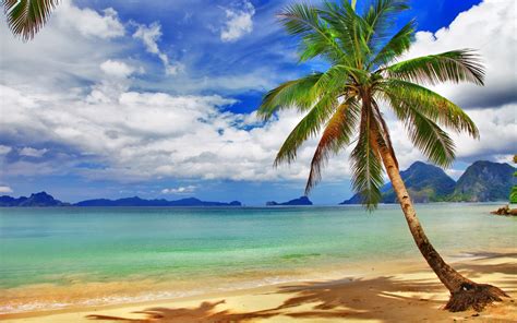 Beautiful Relaxing Tropical Scenery Full Hd Wallpapers