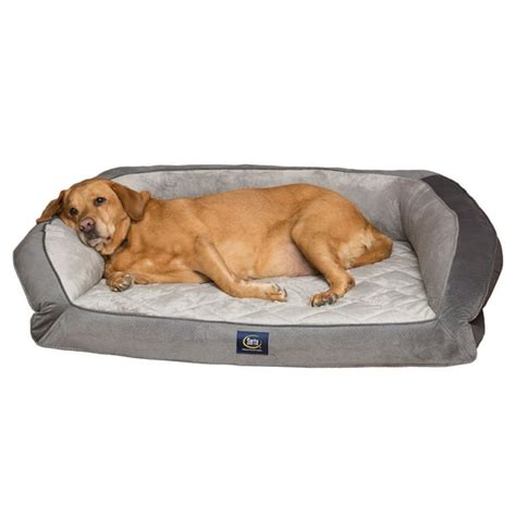 Dog Bed Large Breed Walmart The 9 Best Orthopedic Dog Beds Of 2021