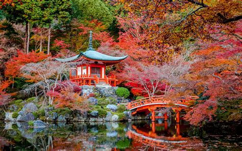 Desktop Wallpapers Kyoto Japan Autumn Nature Bridges Pond 3840x2400