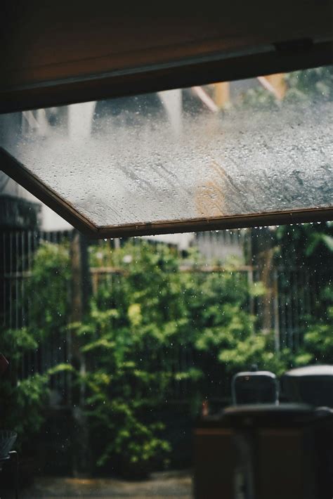 750 Rainy Window Pictures Download Free Images On Unsplash