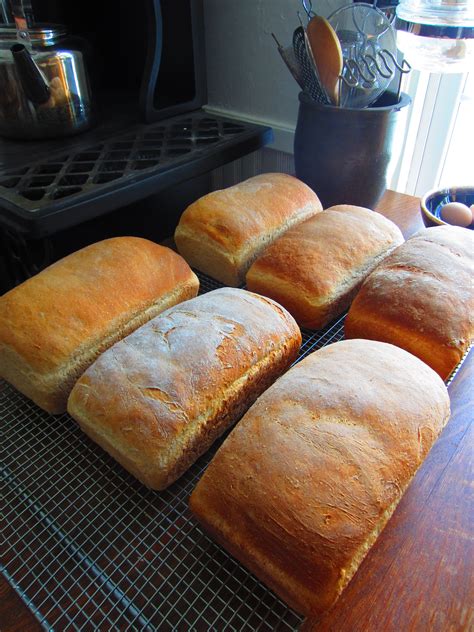 A Recipe For 6 Loaves Of Perfect Bread Recipes Best Homemade Bread Recipe Bread Recipes Homemade