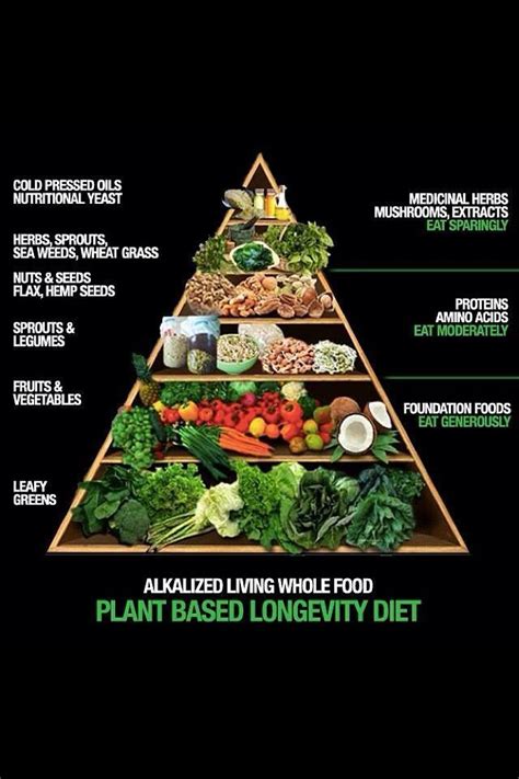 Plant Based Diet Pyramid Vegan Nutrition Diet Nutrition