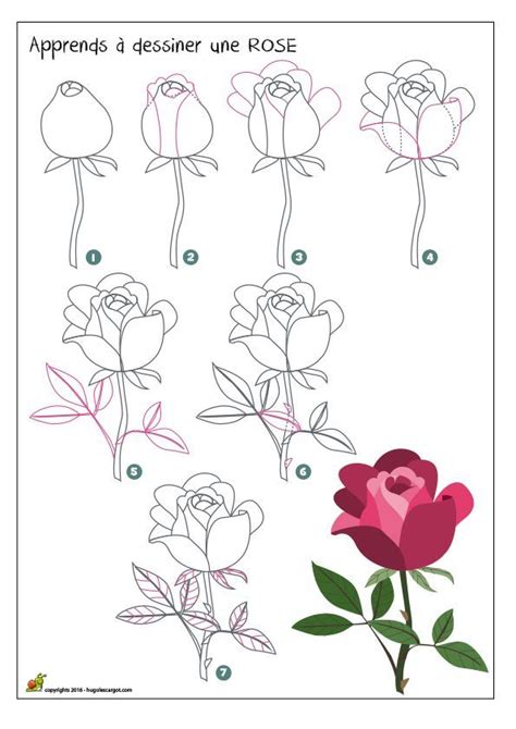 Dessiner Une Rose Flower Drawing Tutorials Flower Art Drawing Roses