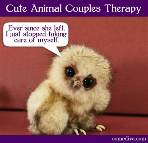Cute Animal Couples Therapy Comediva
