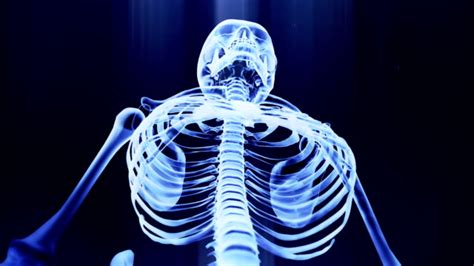 Royalty Free Human Skeleton Hd Video 4k Stock Footage And B Roll Istock