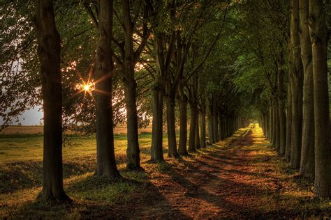 Path Full Hd Wallpaper And Background Image 1920x1280 Id380154