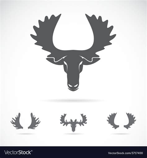 Image Of An Moose Head Royalty Free Vector Image