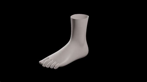 3d Model Realistic Female Foot Vr Ar Low Poly Cgtrader