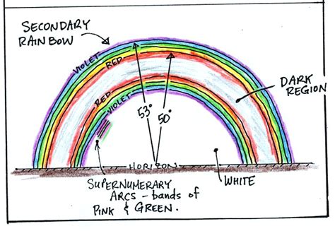 Notes On The Formation Of Rainbows