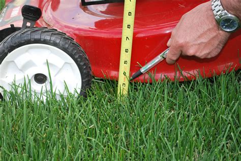 Best Practices For Mowing Your Lawn