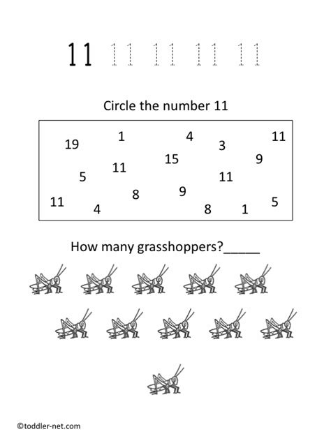 Free Printable Number 11 Worksheet