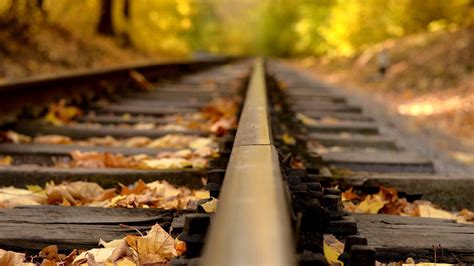 Railway Tracks In Autumn Wallpaper For 1920x1080