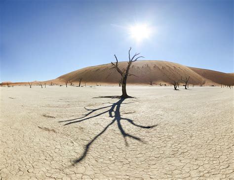 Five Ways To Help Stop Desertification Of The World Borgen