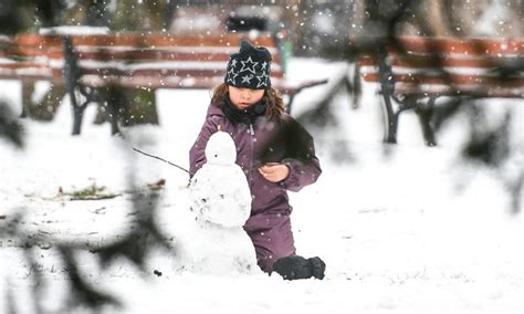 Snowfall Hits Frankfurt Germany Global Times