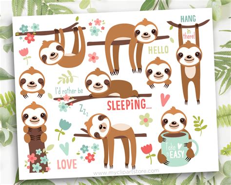 Cute Sloths Premium Vector Clipart By Myclipartstore