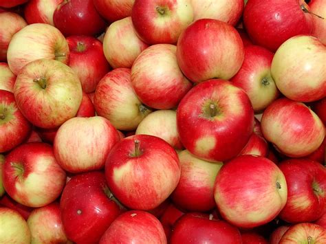 Pile Honeycrisp Apple Apple Apple Bunch Fruits Red Yellow Fruit