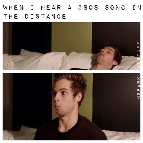 so true 5sos funny 5sos memes 5sos luke 1d and 5sos style zayn malik 5sos songs five