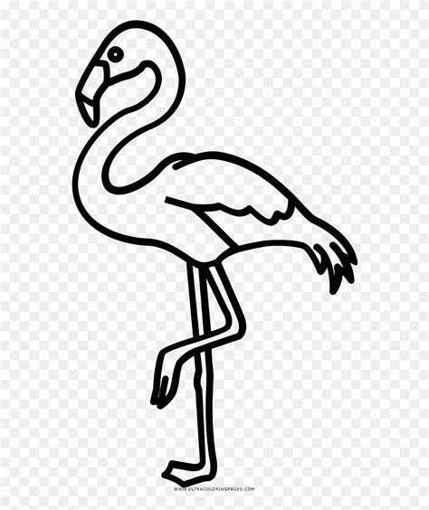 Download Flamingo Drawing Outline Outline Flamingo Clipart Png