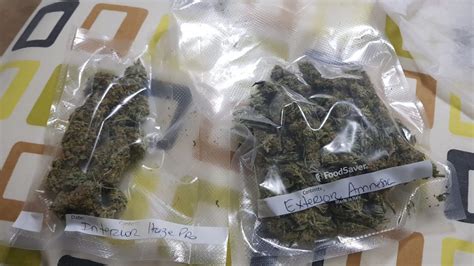 Comprar Marihuana En Las Palmas De Gran