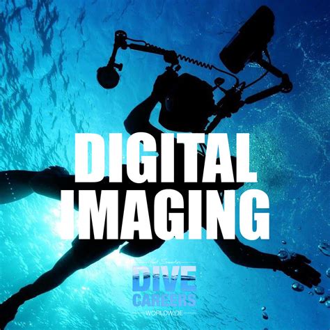 Dive Careers Worldwide Uw Digital Imaging Courses