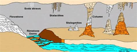 Stalactites And Stalagmites Diagram The Stalagmite Is Below And