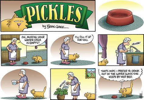Pickles By Brian Crane For December 07 2014 Comedy