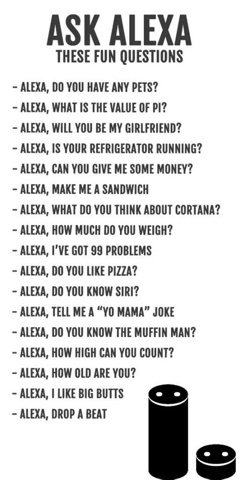 A Complete Guide On Amazon Alexa S Jokes Funny Alexa Commands Sleepover Things To Do Funny
