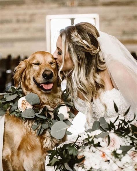 Wedding Photography Ideas With Animals Pets Dogs Wedding Weddings