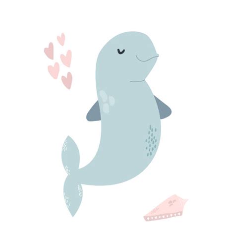 Cartoon Of Baby Beluga Whale Illustrations Royalty Free Vector