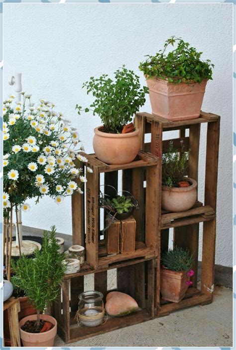 Ready to ship today, delivery time appr. Topfpflanzen und Kräuter in und auf Holzkisten ...