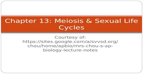Chapter 13 Meiosis And Sexual Life Cycles Courtesy Of Apbiomrs Chou S Ap Biology Lecture Notes