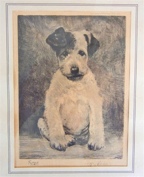 Vintage Dog Print Rags By Kurt Meyer Eberhardt A Dogs Tale
