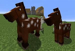 Minecraft Horse Chart