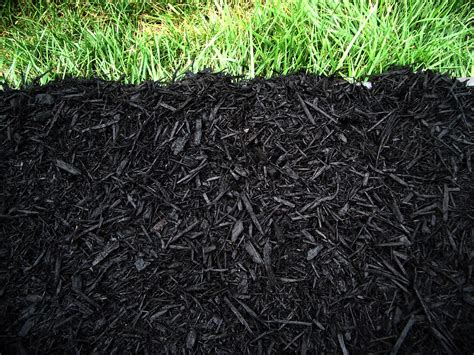 Green Country Soils Mulch Products Garden Shrubs Shrubs Black Mulch