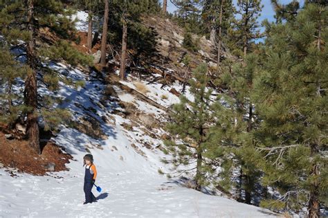 Find the best cabins near the beach. 7 Spectacular Places to Play in the Snow Near Los Angeles ...