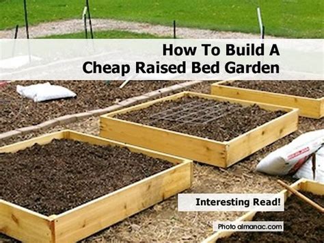Landscaping comes in all forms, including ones that she's always on the search for the latest design trends to make a house a home. How To Build A Cheap Raised Bed Garden