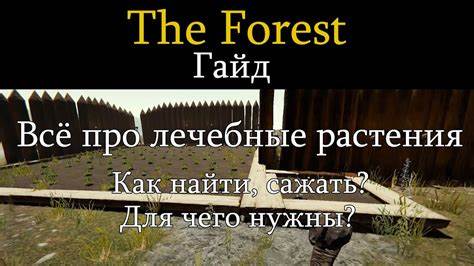 The Forest гайд. Все про лечебные растения. Как найти, сажать. Для чего Картинка - The Forest гайд. Все про лечебные растения. Как найти, сажать. Для чего