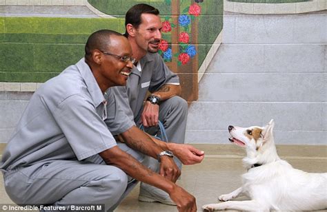 Stray rescue has been participating in puppies for parole since march 2014. Puppies for parole: How rescue dogs are helping convicts rehabilitate and win chance of early ...