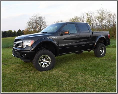 Black harley davidson badge emblem ornament logo truck bed fender door brand new (fits: collector item 2012 Ford F 150 Harley Davidson pickup for sale