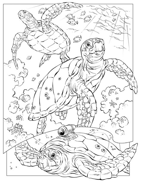 Free Printable Turtle Coloring Pages - Coloring Home