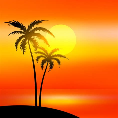 Beach Scene With Sunset And Palm Tree Vector Free Download