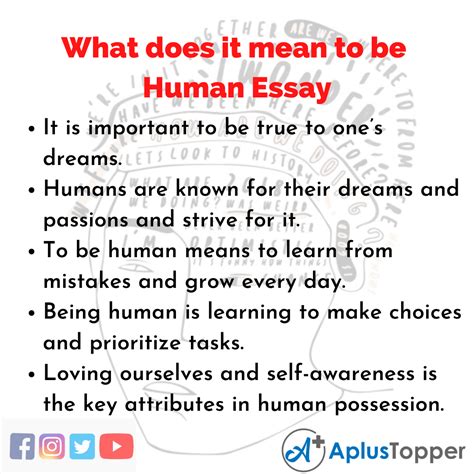 What Is Human Essay