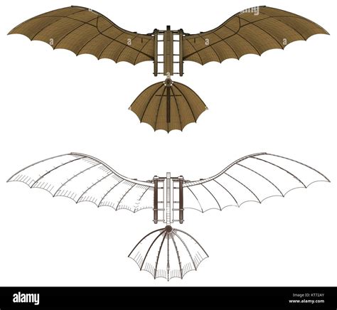 Máquina Voadora Leonardo Da Vinci