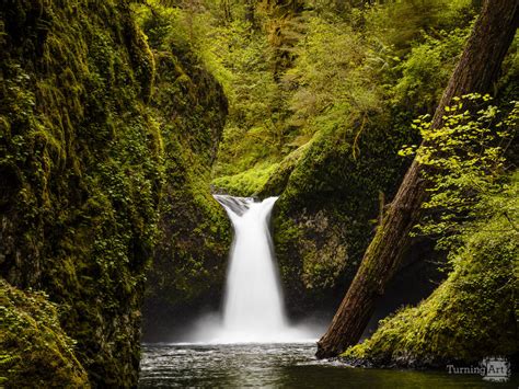 Punch Bowl Falls By Greg Clure Turningart