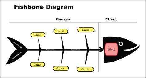 نمودار استخوان ماهی ایشیکاوا مثال و کاربرد FishBone Diagram کیوسی بی