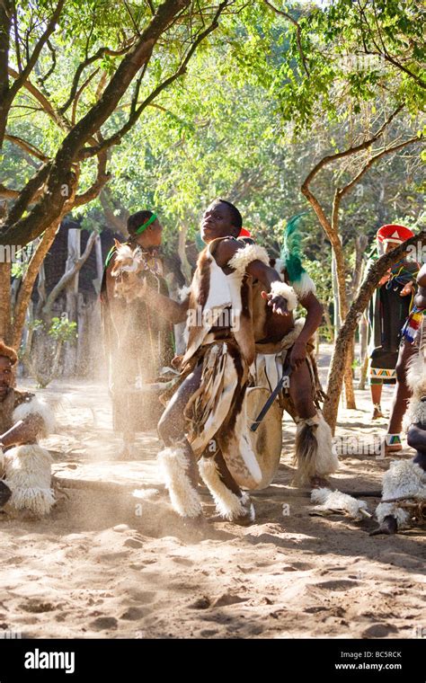 Zulu Warrior Gives Traditional Dance In Dumazulu Cultural Village