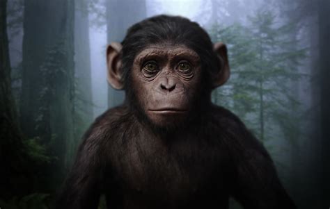 Image Wpota Cornelius Planet Of The Apes Wiki Fandom Powered