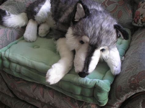 Large Soft Toy Ellie Husky Dog Plush 70 Cm Huge Cuddly Fluffy Big Pet